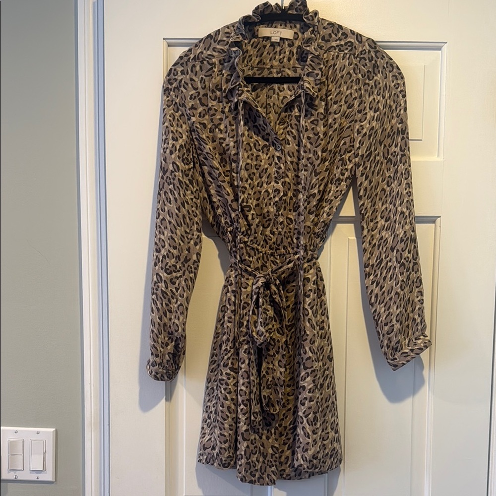 Leopard Print Women's Dress
